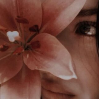 Adelaine Adelaine